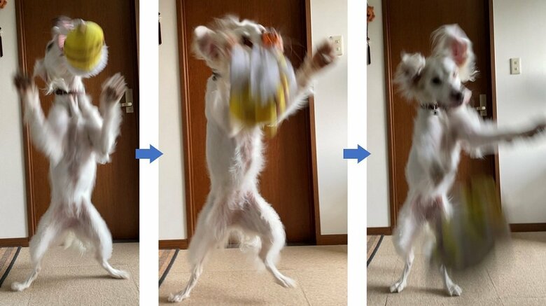 UMAになった続きがこちら