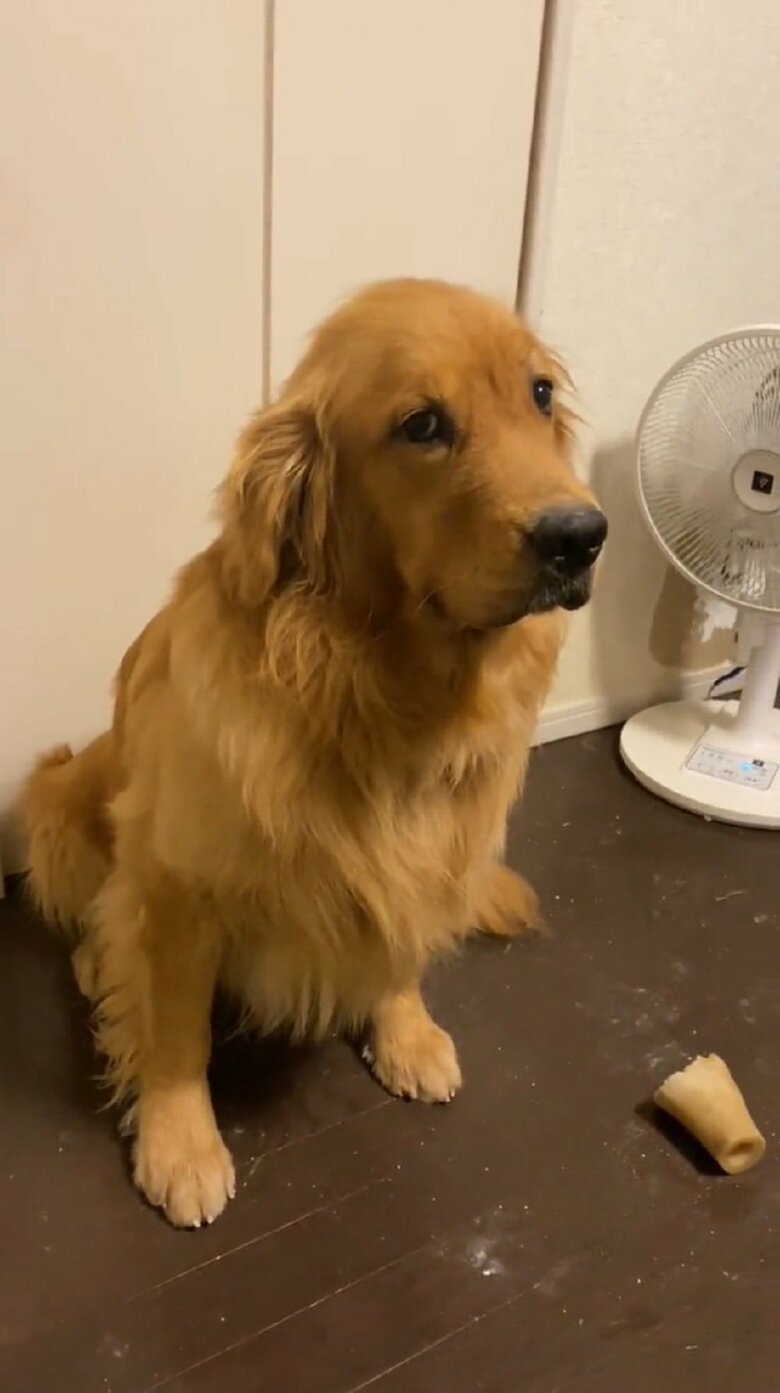 もーぎーさん「誰がやった？」と尋問