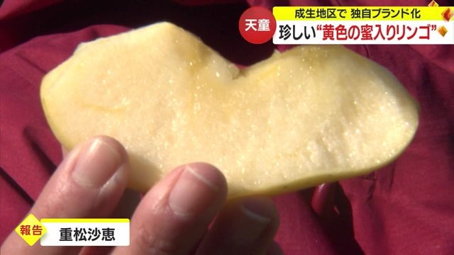 蜜がたっぷりの「プリンセスはるか」を特別に試食　