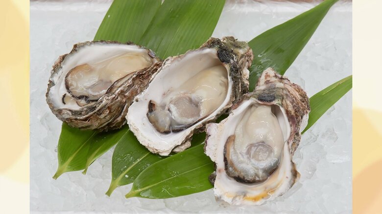 象潟産の岩ガキ（画像提供：あきた商店）