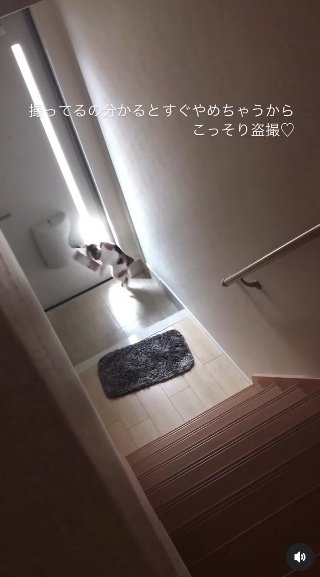 提供：kiyokoさん