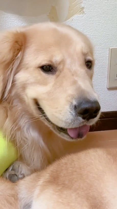 提供：ムックパパさん
