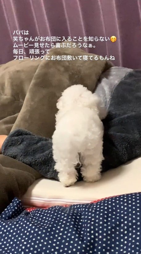 提供：＠tanaka.akemi1225