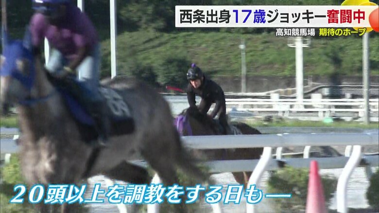 調教のため７時間以上乗り続けることも珍しくないそう