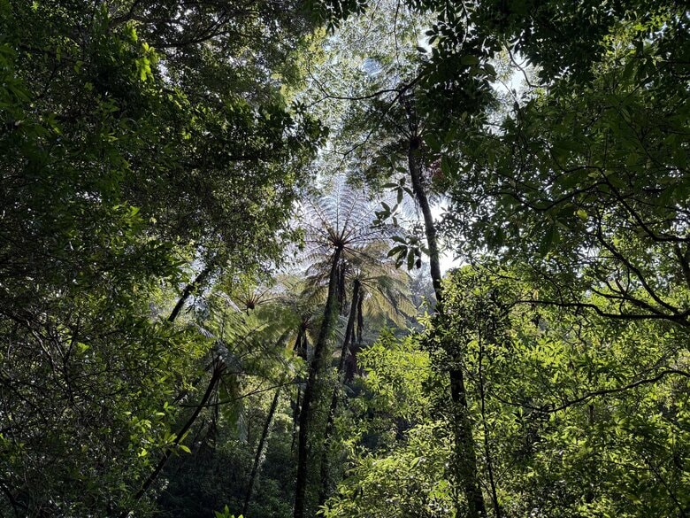 金作原には認定ガイドの同行が必要