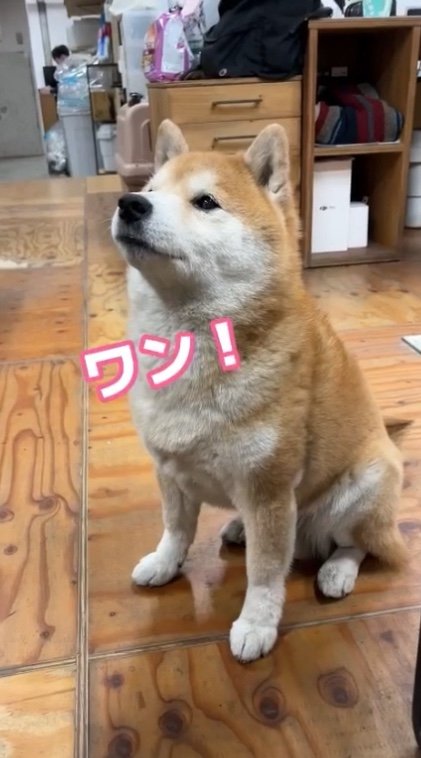 提供：エイトデザイン