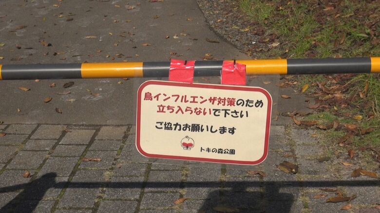 トキを守るための取り組み