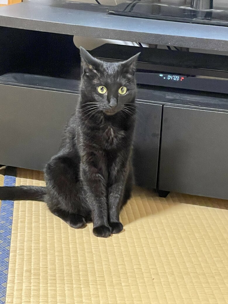 提供：マクーさん