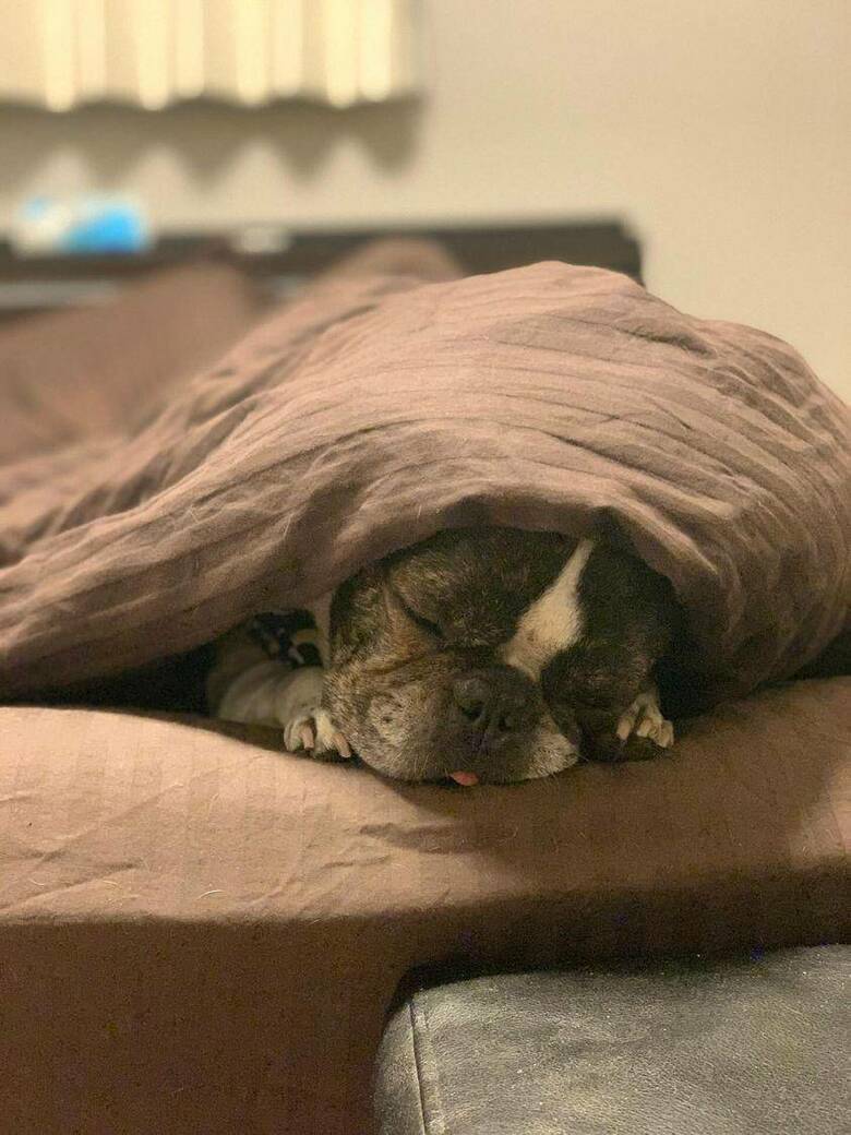 提供：丸男さん