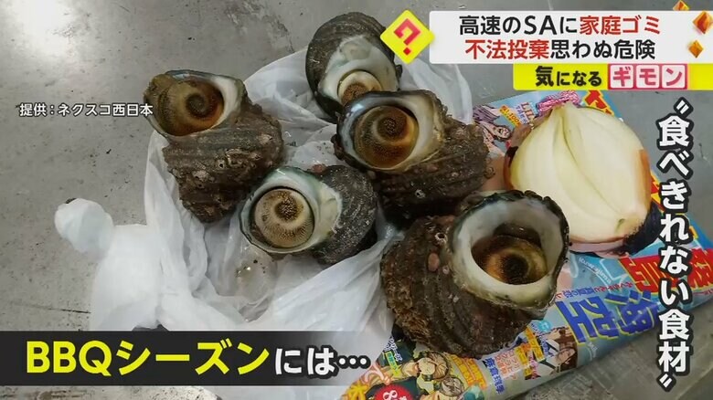 バーベキューシーズンには食べきれなかったであろう食材が捨てられていた