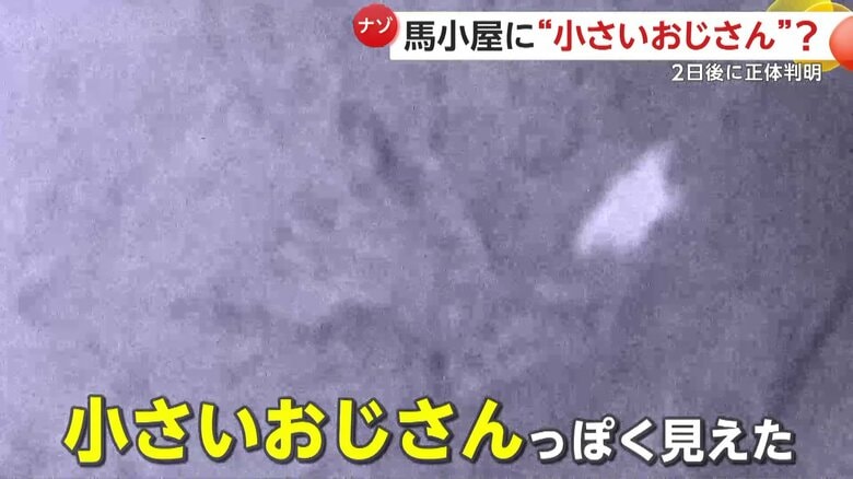 「小さいおじさんっぽく見えた」と語る撮影者