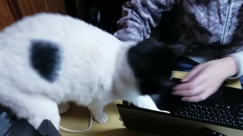 リモートワーク中の旦那さんを襲う