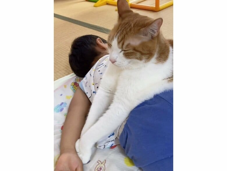 提供：Hassakuさん