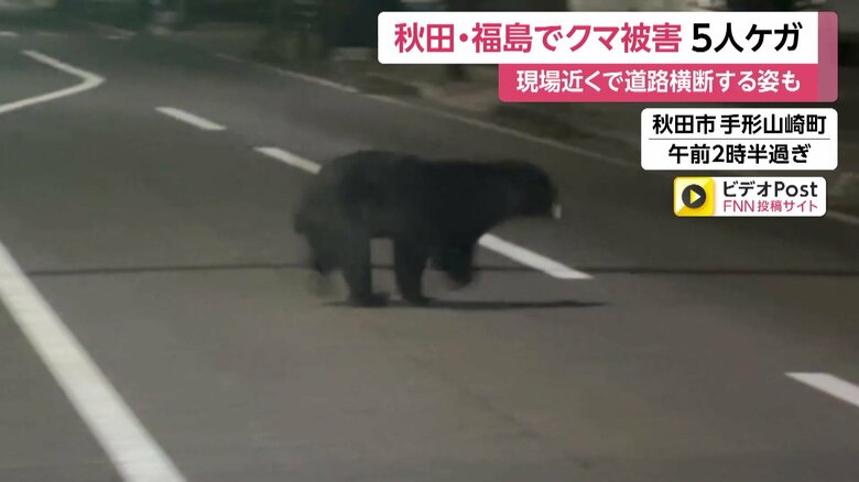深夜の道路を住宅街に向かって横断するクマ⑥