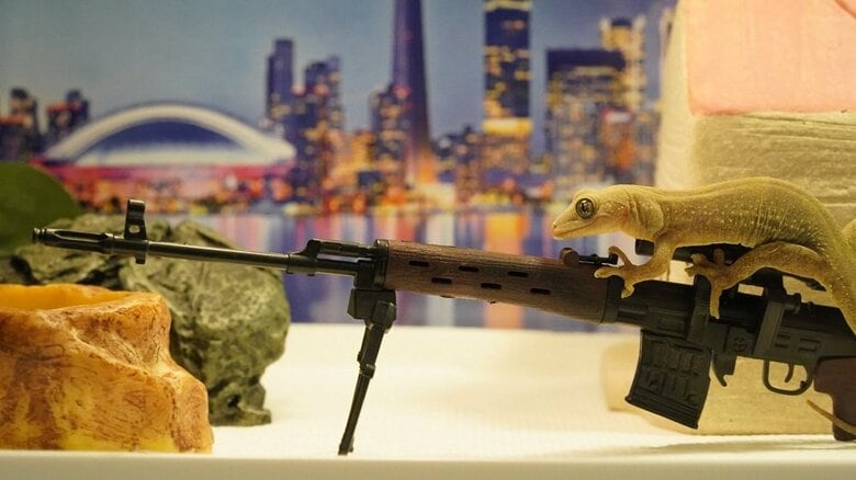 銃を構えるするめちゃん