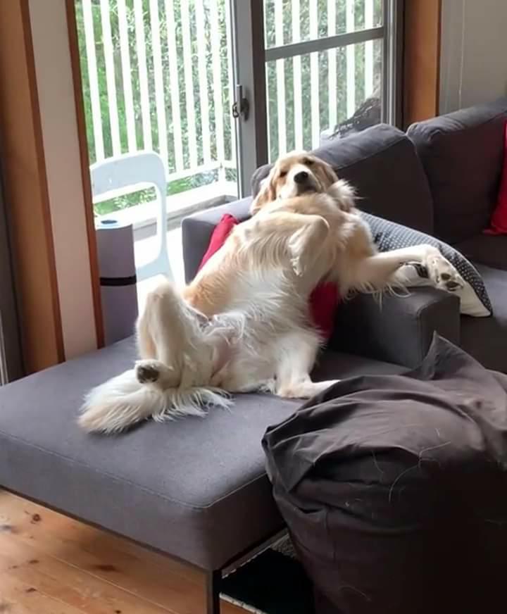 提供：エマさん