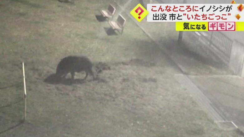 匂いを嗅いでる？