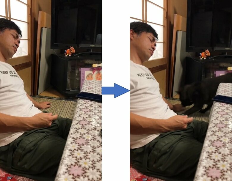 寝ているさだきちさんの横へ、ななちゃんが登場