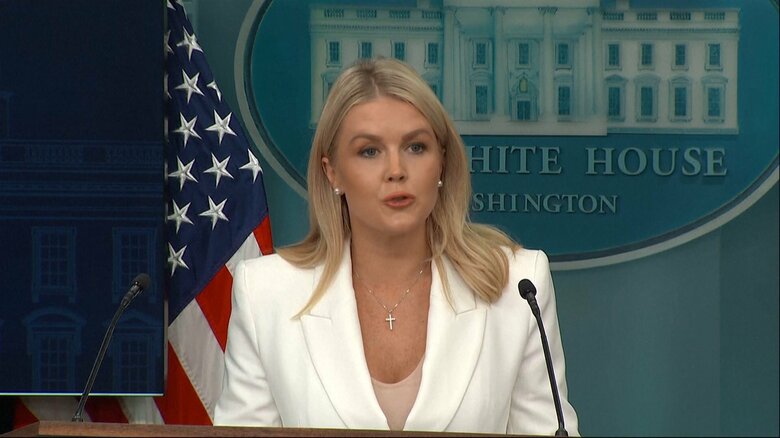 レビット報道官は相互関税の上乗せ分について「期限が延長される可能性がある」と発言（6月26日）