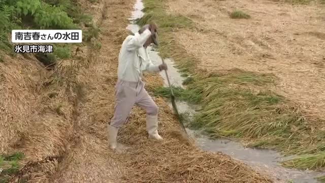 豪雨被害　氷見市で水は引くも田んぼに大量のごみ　農家は「仕方ない」罹災証明の受付けも始まる