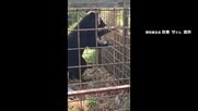 JR渋谷駅で人身事故　山手線一時停止で“友人と会えず”　京都の観光地に「まるまる太ったクマ」出没も