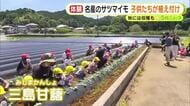 名産のサツマイモを子供たちが植え付け　秋には収穫も