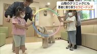 患者に寄り添う「セラピードッグ」米子市のクリニックに　不安取り除き診療サポート（鳥取）