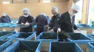 養殖ワカメの入札会 大槌産も出品　2026シーズン最後　岩手県大船渡市