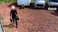 【▶動画はこちら】くわえタバコで“銅線泥棒” 被害に遭った会社社長「おそらく“拾い屋”…自分たちにとって“最悪の人間”」 愛知・岡崎市