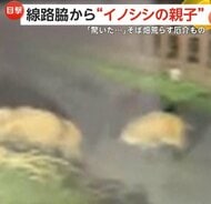 「大きな黒い物体が固まって…」線路脇から7匹の“イノシシ親子”　電気柵設置も“いたちごっこ”農作物を守る対策費が負担に　宮城・大崎市