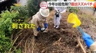 今年は超危険!?最凶スズメバチ【しらべてみたら】