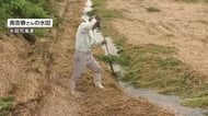 豪雨被害　氷見市で水は引くも田んぼに大量のごみ　農家は「仕方ない」罹災証明の受付けも始まる