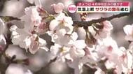 大分のサクラの開花発表はいつ？　早くも見頃を迎えた場所も　気象予報士が見通しを解説