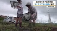 フナやナマズの稚魚に子供たちが大歓声　若狭町の田んぼで親子自然教室