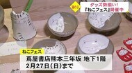 至福のひとときを ねこグッズが勢揃い 『ねこフェス』開催中(熊本)