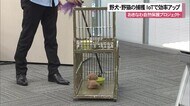 IoT技術活用して やんばるの希少生物保護へ