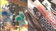 春風に吹かれて…大空泳ぐ150匹の「こいのぼり」とくるくる回る癒しの「風花」 山形の“春”を感じる風物詩【山形発】
