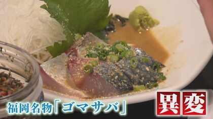 博多名物「ゴマサバ」異変 サバ獲れず高騰 “庶民の魚”も贅沢品に 国が漁獲枠「8割減」も検討【福岡発】