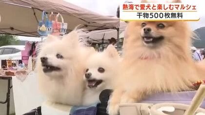 愛犬と一緒に「AtaWanマルシェ」無料で炭火焼きの干物1日約500枚　10月4日まで開催・熱海市