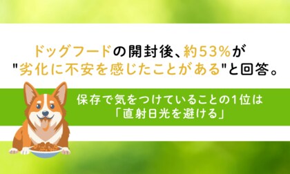 ドッグフードの開封後、約53%が劣化に不安を感じたことがあると回答。保存で気をつけていることの1位は「直射日光を避ける」