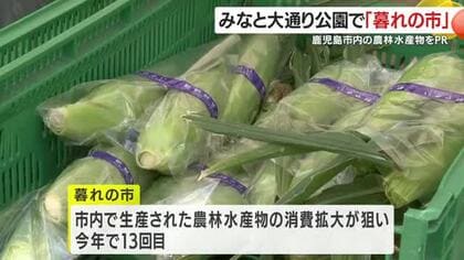 鹿児島市内の農林水産物をPR　みなと大通り公園で「暮れの市」