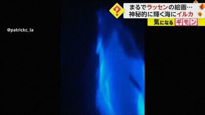 まるでラッセンの絵画…波が青く光る現象　光を放つプランクトンが影響　米・カリフォルニア州