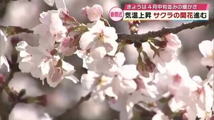 大分のサクラの開花発表はいつ？　早くも見頃を迎えた場所も　気象予報士が見通しを解説