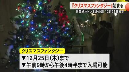 高森湧水トンネル公園で『クリスマスファンタジー』始まる【熊本】