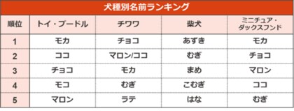 むぎ の人気が急上昇 今年は犬 猫共に同じ名前が１位に ペットの名前ランキング21 うさぎ ネズミ 鳥のランキングやキラキラネームも公開