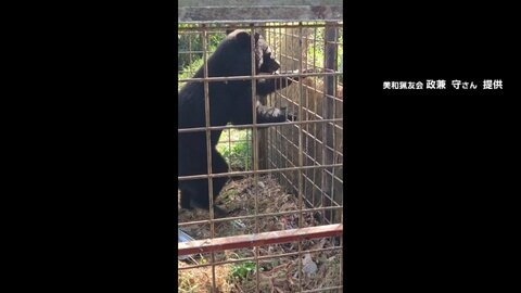 JR渋谷駅で人身事故　山手線一時停止で“友人と会えず”　京都の観光地に「まるまる太ったクマ」出没も