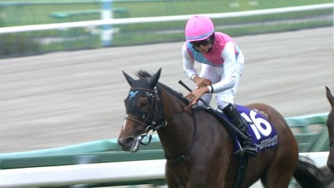 【スプリンターズS・G1】波乱！9番人気ピューロマジックが逃げ切りG1重賞初制覇　絶好調岩田望来騎手は今年重賞7勝目