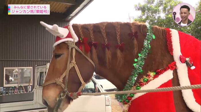 クリスマス衣装をまとった「栗姫号」