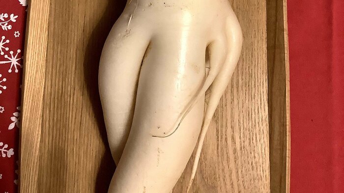 「手足」が生えてきた理由は「旅に出たかったから」（投稿者コメント）