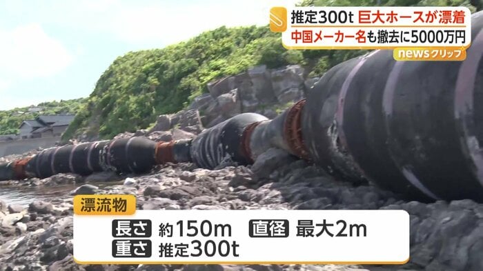 海岸に漂着した巨大なホース